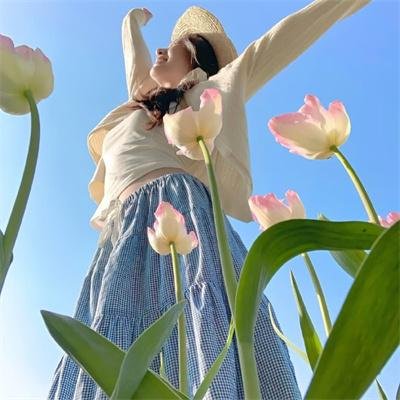 飞女黛丝